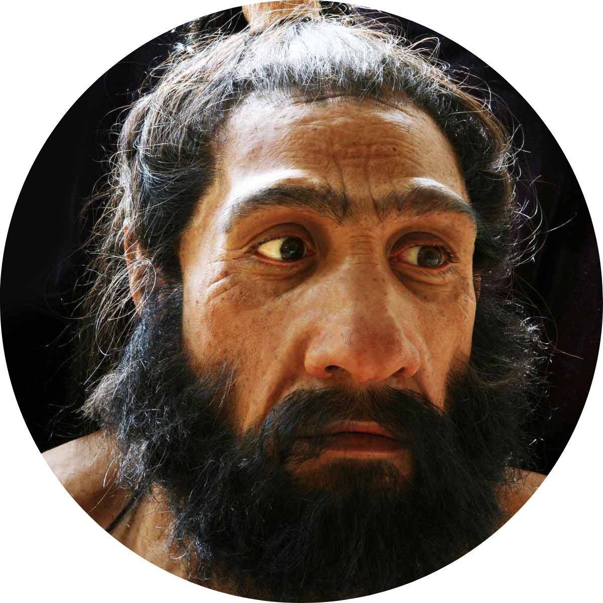 Neanderthal